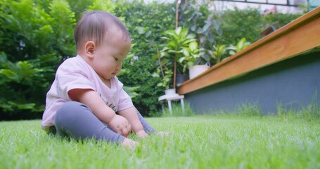 Wall Mural - Adorable Baby Exploring Lush Green nature Lawn in a Sunny Garden, Capturing the Joy discovery and Curiosity of Childhood growth and outdoor play in a Natural Outdoor Environment