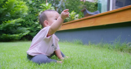 Wall Mural - Adorable Baby Exploring Lush Green nature Lawn in a Sunny Garden, Capturing the Joy discovery and Curiosity of Childhood growth and outdoor play in a Natural Outdoor Environment