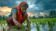 © Lerson - Indian woman in traditional attire is working in lush green rice paddy field during monsoon season, showcasing dedication and connection to nature