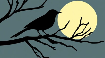 Silhouette of Bird Perched on Tree Branch at Night