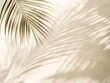 © Sinechana - 2408 51.A delicate shadow of a palm leaf falls across a smooth, light beige sandy background. The natural light creates soft, flowing patterns from the leaf, casting elegant shapes that evoke a