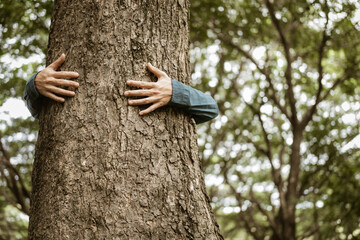 A male hand hugs a tree, symbolizing love for nature and the environment. This act represents the importance of trees in preventing global warming and restoring environmental balance, as seen