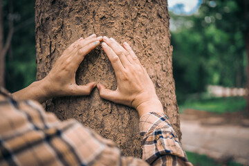 A male hand hugs a tree, symbolizing love for nature and the environment. This act represents the importance of trees in preventing global warming and restoring environmental balance, as seen