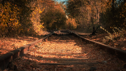 Railway tracks in the park area of ​​autumn Kharkov