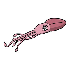 Wall Mural - squid vector illustration