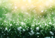© Isuru - Green Grass Peeking Through Snow During a Gentle Winter Snowfall