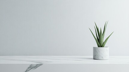 Canvas Print - A small green plant in a white marble pot sits on a marble countertop against a white wall.