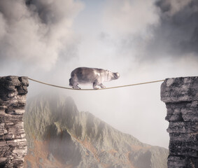 Hippopotamus walks on rope above a gap between two mountain peaks.