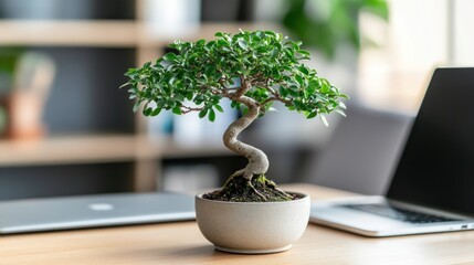 Sticker - A bonsai tree in a minimalist workspace, symbolizing tranquility and focus.