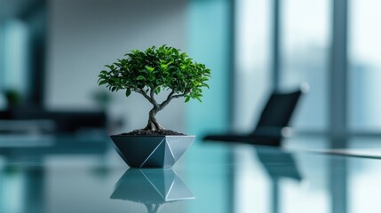 Poster - A small bonsai tree in a modern pot on a reflective table in an office setting.