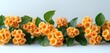 © Micro - a group of orange flowers with green leaves