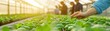 © Mnt - A person tending to fresh green plants in a vibrant greenhouse, showcasing a commitment to sustainable agriculture and growth.