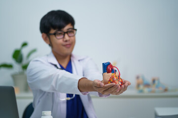 Cardiologist showing the inside of the heart, its components and treatment.