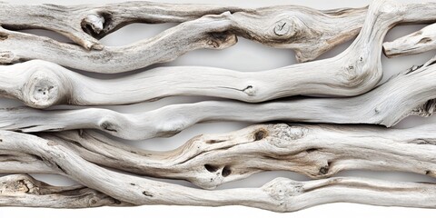 Wall Mural - Close-up of weathered, white driftwood branches with natural knots, creating a unique, textural pattern.