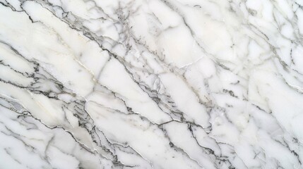 Canvas Print - Elegant White Marble with Gray Veins for Interiors