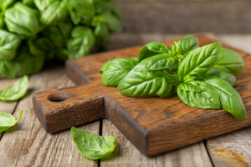 Green basil leaves on a textured wooden background. Kitchen herbs, spices. Fresh green organic basil. Vegan. Greens for salad. Place for text. Copy space.