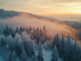Wall Mural - sunset over snowy forest