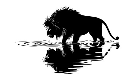 Wall Mural - Lion drinking from shallow stream, reflection visible on surface, vector illustration art