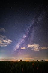 Wall Mural - milky way with stars over rice field.with grain and select white balance.white clouds obscured and d