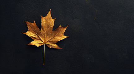 gold maple leaf on a black background with copy space