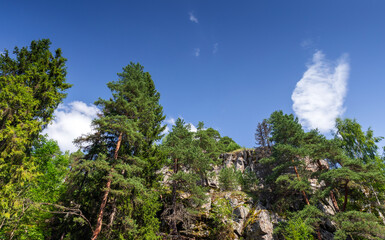 Karelian forest, summer landscape photography with rocks and trees