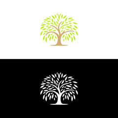 willow tree nature modern logo vector illustration template design