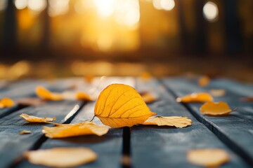 Golden maple leaves frame with rustic tree trunk and blurred forest, nature autumn background concept for Thanksgiving holidays and Oktoberfest.