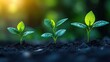 © Feeney - an inspiring concept of business growth ,successful development symbolizing the drive to move forward with vision determination ,strategic planning in competitive corporate environment