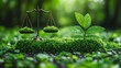 © Feeney - law ,justice in relation to environmental ,ecological protection symbolizing the financial aspects ,investments in green legal practices