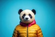 © Andaman - Low angle view of a panda wearing a colorful down jacket against a blue background