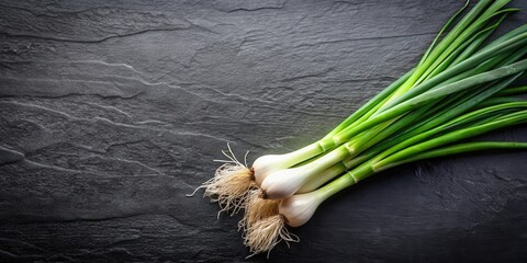 Fresh green onions with roots on a black slate background