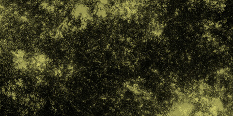 Canvas Print - light green powder explosion on black and yellow powder explosion. colorful dust explode. paper text