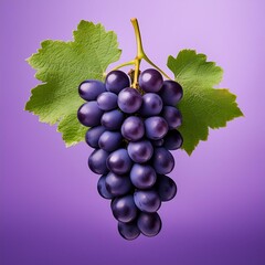 Black Wine grape isolated on purple background