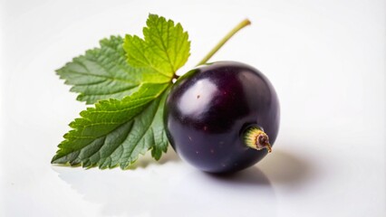 Wall Mural - A single, ripe blackcurrant with a green leaf on a white background.