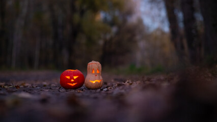 Wall Mural - Two jack o' latterns for halloween in the woods. Halloween decoration. 