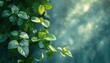 © Nawarit - Ecofriendly home decor with sustainable materials, modern and inviting, Urban, Soft greens, Photograph, Green living