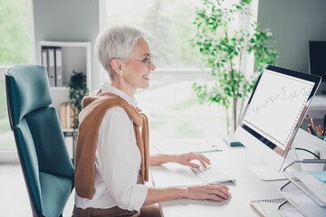 Wall Mural - Photo of smart elderly chief female working computer wear formalwear comfortable modern office loft room interior indoors workspace