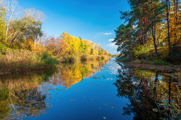 Tranquil river scene capturing the vibrant colors of autumn. Golden and green foliage of mixed forest reflects in calm waters under a clear blue sky, creating a serene landscape