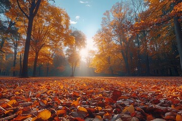 vibrant autumn park scene a sunny october landscape bathed in bright natural light