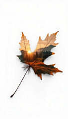 Autumn maple leaf with tree silhouette artwork