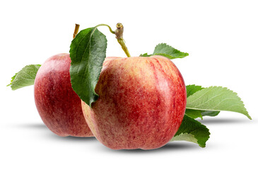 Two ripe red apples on a white background isolate