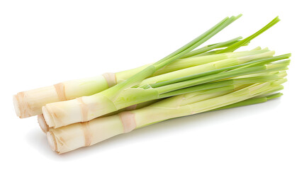 Fresh Lemongrass Stalks | Aromatic and Flavorful Herb for Asian Cuisine and Herbal Remedies