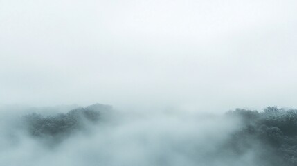 Foggy forest landscape with white sky and dark green trees.