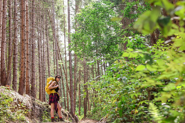 Poster - Young hiker with backpack in forest, space for text