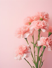 Wall Mural - Close up of soft pink carnations flowers on pastel pink background