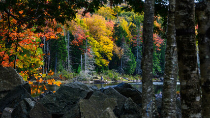 Wall Mural - Autumn in the Adirondacks in NY State.