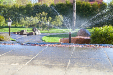 Sprinkler watering the lawn in the garden with a blurred background