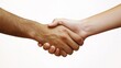© Li - handshake between two people