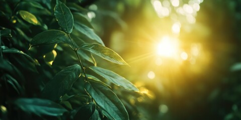 Wall Mural - serene sunlight through the foliage