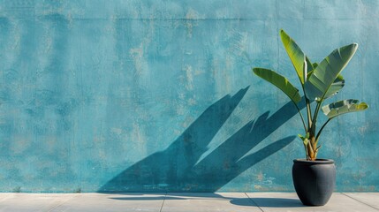 Poster - Bright Plant Against Vibrant Blue Wall Background